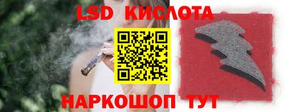 спиды Сланцы