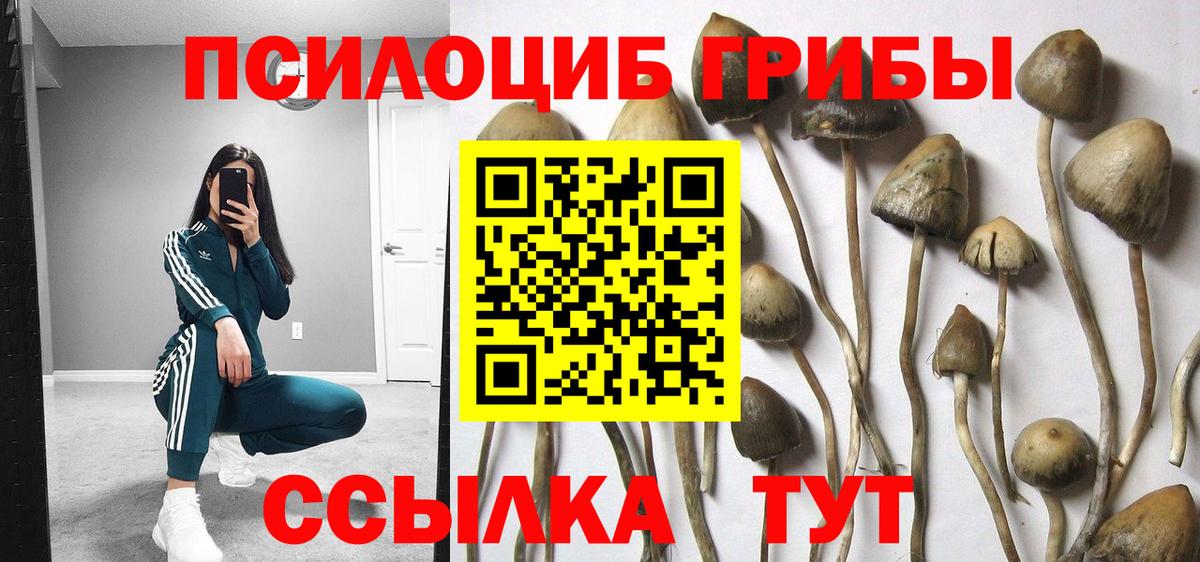 Рассказово  Галлюциногенные грибы мухоморы  Вход с VPN 